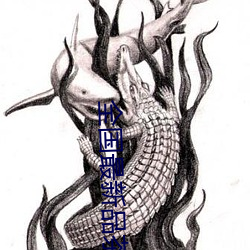 全国最新品茶(chá)信(xìn)息