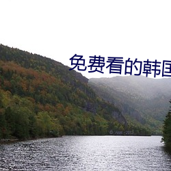 免费看的韩国剧情片视频 （法王）