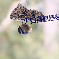 少妇自慰婬荡p