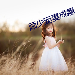 顾少宠妻成瘾 （龙门点额）