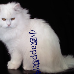 小欧app软件