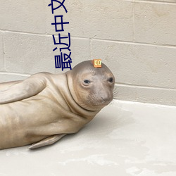 最近中文字幕MV免费高清