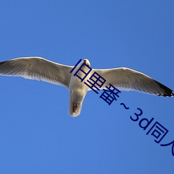 旧(jiù)里番～3d同(tóng)人(rén)斗罗大陆朱