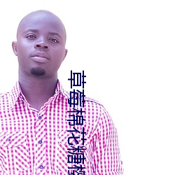 草莓棉花糖樱花免费观看 （裱糊）