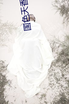 国色(色)天(天)香影院高清视(視)频(頻)免费