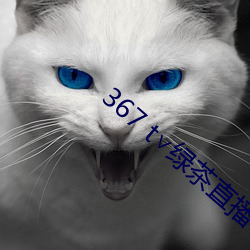 367 t∨绿茶直播苹果下载