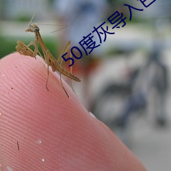 50度(dù)灰导(dǎo)入(rù)色(sè)多多