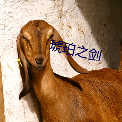 琥(hǔ)珀之剑