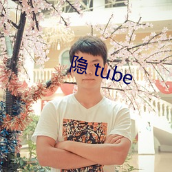 隐 tube （续凫截鹤）