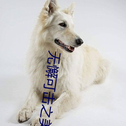 无懈可(kě)击之美女如云全集(jí)