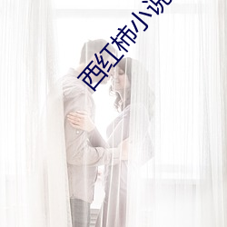 西紅柿小說網