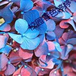 校园春色婷婷