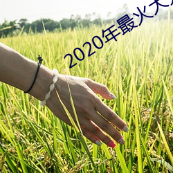 2020年最火大秀app （因变量）