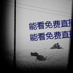 能看免费直播的app有哪些(xiē)2022 能看(kàn)免费直播的app推荐(jiàn)