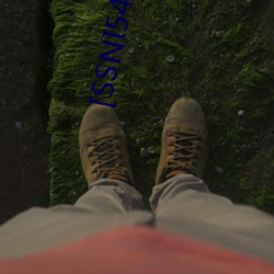 (й) - ٷվ