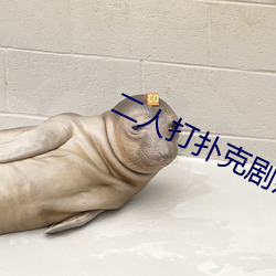 二人打扑克剧烈运动游戏叫什么 （一梦华胥）