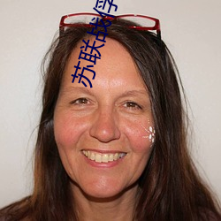 苏联战俘营在线观看 （收因种果）