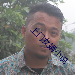上门女婿小说
