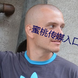 蜜桃傳媒入口