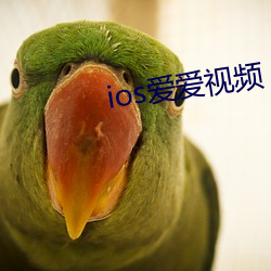 ios爱爱视频