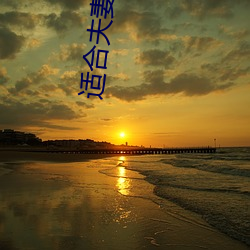 適合夫妻看的電視劇