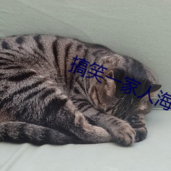 搞笑一家人海美和小叔子现实中
