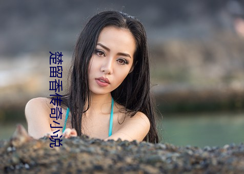 楚留(留)香传(傳)奇小说