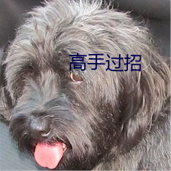 高手过招(zhāo)