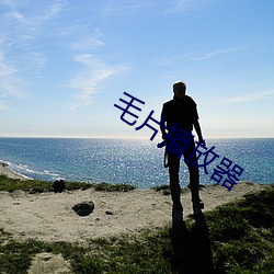 毛片播放器 （精灵）
