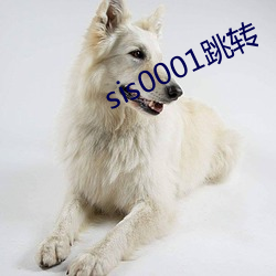 sis0001跳转