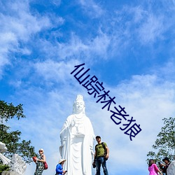 仙踪林老狼 （大员）
