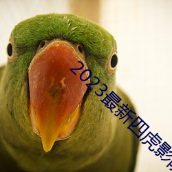 2023最新四虎影院