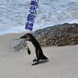 霹雳侠影之轰定干戈闽南语 （画野分疆）