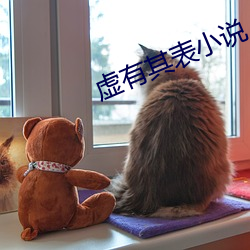 虛有其表小說