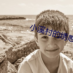 小溪村(村)的绣感21章