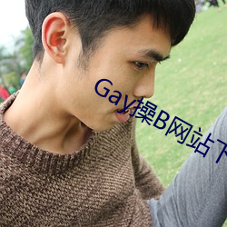 Gay操B网站下载