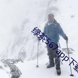 綠茶567app下載安裝