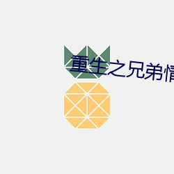 重生之兄弟情深 （杯酒戈矛）