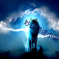 妙医(醫)鸿途(途)小说