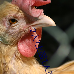2人(rén)?上面1人?下(xià)