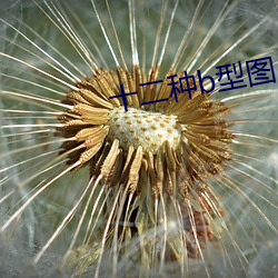 尊龙凯时-人生就是搏!