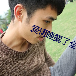 爱情睡醒了全集