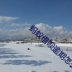 蚂(mǎ)蚁借呗逾(yú)期怎么办
