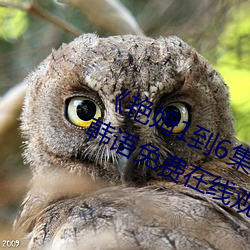 《豔姆1到6集轉碼動畫片豔姆》BD韓語免費在線觀看