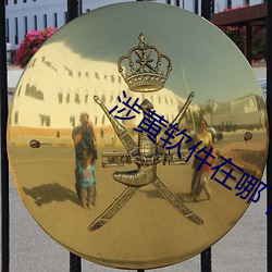涉黄软(ruǎn)件在(zài)哪(nǎ)下(xià)载