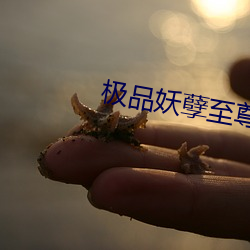 极品妖孽至尊