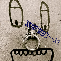 富聊里的一对一视频聊