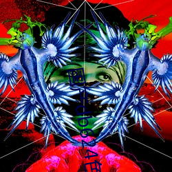 国产db624色谱柱