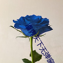 道(dào)界天下(xià)无(wú)弹(dàn)窗免(miǎn)费(fèi)阅读全文正(zhèng)版(bǎn)