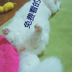 凯时|AG(AsiaGaming)优质运营商